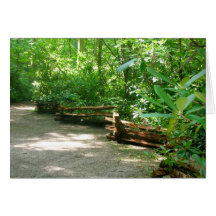 fence on the grounds of Fallingwater Card