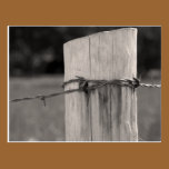 Fence Post and Wire postcards