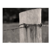 Fence Post and Wire Postcards