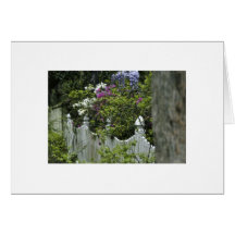 Fence with Spring Flowers Greeting Cards