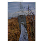 Fenced Card