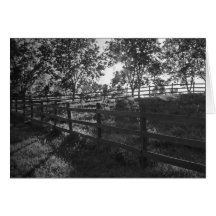 Fenced In Card