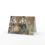 Fenced tiger birthday card (h)