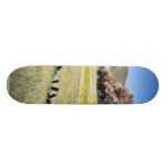 Fences Fields Meadows Trees Custom Skate Board