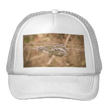 Fencing the Back Forty Trucker Hats