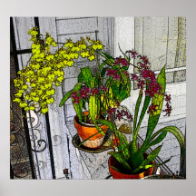 Fenêtre d'orchidée posters