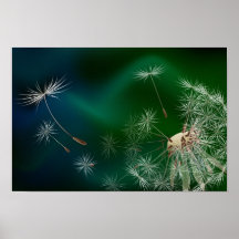 FENG SHUI INTUITIVE ENERGY POSTERS