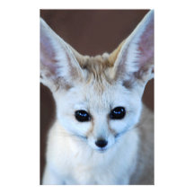 Fennec Fox Customized Stationery