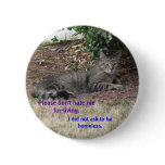 FERAL CATS NEED LOVE TOO! PINBACK BUTTON