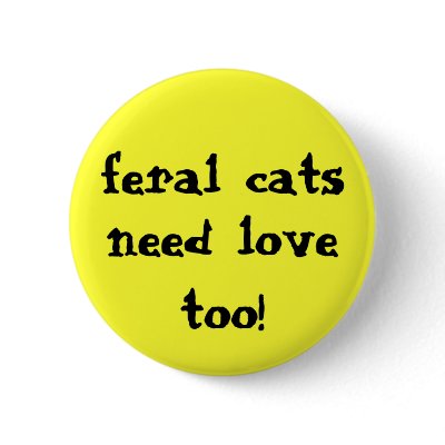 feral cats need love too! button by animalsolm8