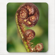 Fern buds mouse pads