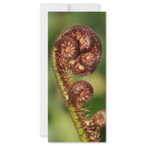 Fern buds customized rack card