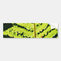 Fern Bumper Sticker
