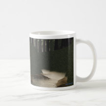 Fern Canyon mug