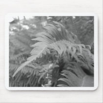 Fern Friendly Mousepads
