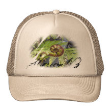 Fern Hat