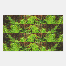 Fern Jungle Sticker