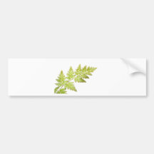 Fern leaves bumper stickers