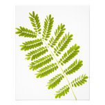 Fern leaves invitations