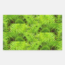 Fern Madness Rectangle Stickers