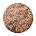 Fern Fridge Magnet