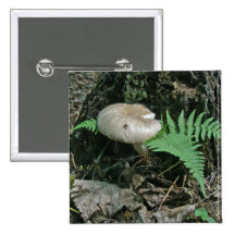 Fern & Mushroom at Stump Coordinating Items Pin