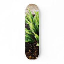 Fern Plant Growing From The Stone Wall Skateboards