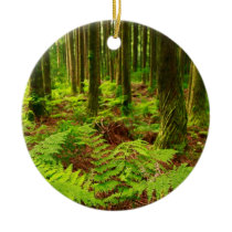 Ferns in the forest christmas ornament