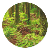 Ferns in the forest stickers