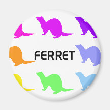 Ferret (4) fridge magnets