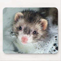 ferret bubble bath mouse mats
