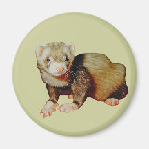 Ferret Drawing Refrigerator Magnet