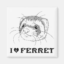 Ferret face magnet