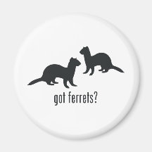 Ferrets Magnet