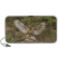 Ferruginous Hawk ~ Kimberly P-Chadwick Mini Speaker