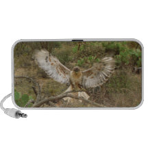 Ferruginous Hawk ~ Kimberly P-Chadwick Mini Speaker