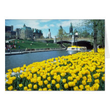festival canadien jaune de tulipe, canal de Rideau Cartes De Vœux