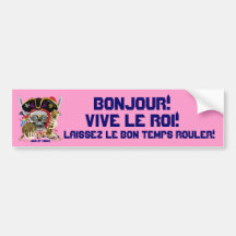 Festival Party Theme  Please View Notes Bumper Sticker