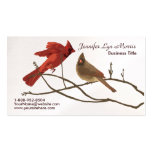 Festive Red Cardinals Business Card Template