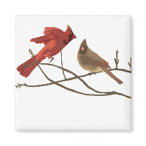Festive Red Cardinals Magnets