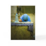 Fetching Water Greeting Card
