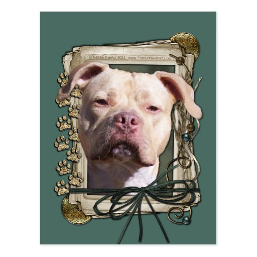 Fête des pères - pattes en pierre - Pitbull - fill Carte Postale