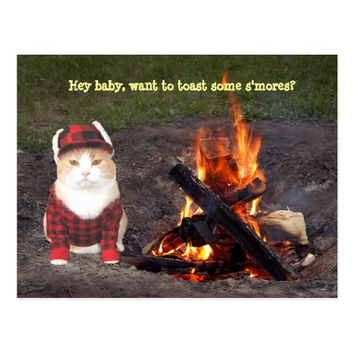 Feu de camp de Kitty Cartes Postales