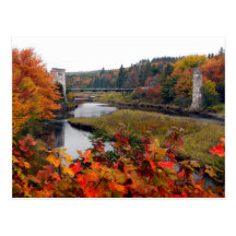 Feuillage d'automne cartes postales