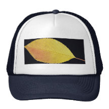 Feuille attrayante de cerise casquette de camionneur