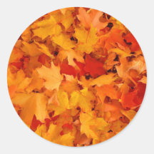 Feuille d'automne autocollants ronds