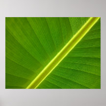 Feuille de banane poster