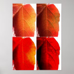 Feuille de bruit affiche