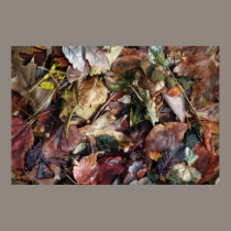Feuille de chute affiches