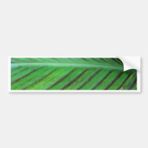 Feuille de lis de Canna Autocollants Pour Voiture